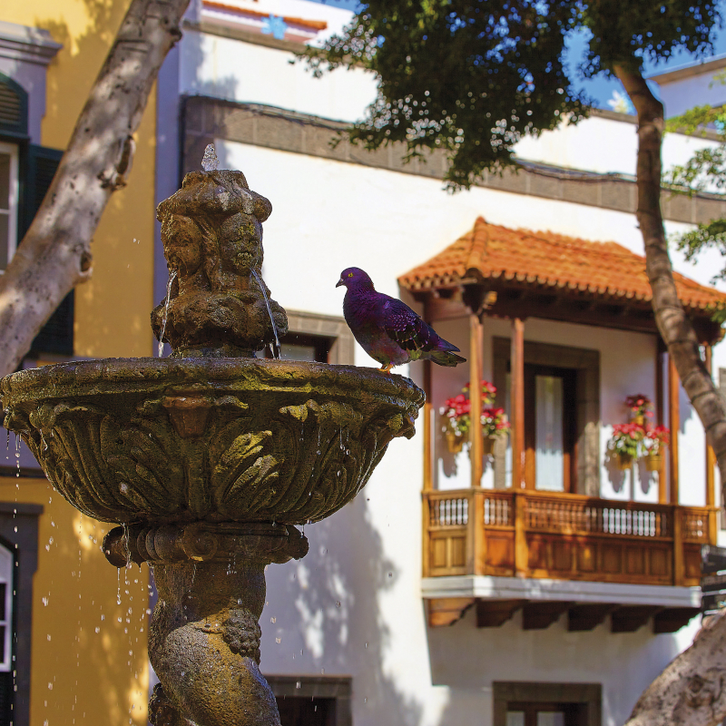 ONE DAY | LAS PALMAS No35 | Ralf Wehrle und Uwe Frank Fine - Art - Print  16,5 cm x 16,5 cm | gerahmt 30 x 30 cm  Auflage 15 | signiert